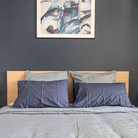 Grand Climatise 2br Avec Terrasse Apartment
